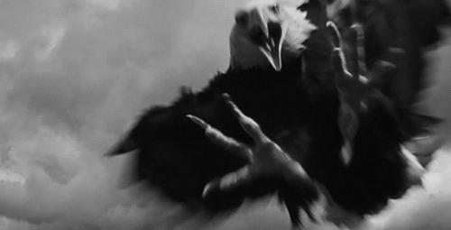 有人花1500元买马赛克图片和拼音商品?记者调查发现幕后大有隐秘!