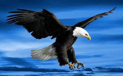 有人花1500元买马赛克图片和拼音商品?记者调查发现幕后大有隐秘!