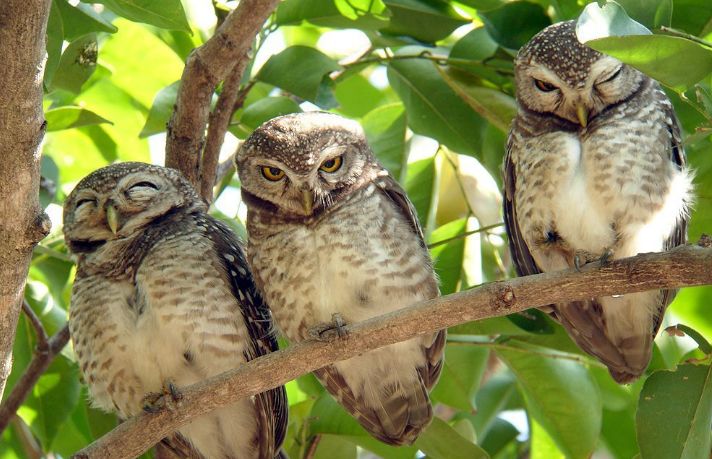 有人花1500元买马赛克图片和拼音商品?记者调查发现幕后大有隐秘!