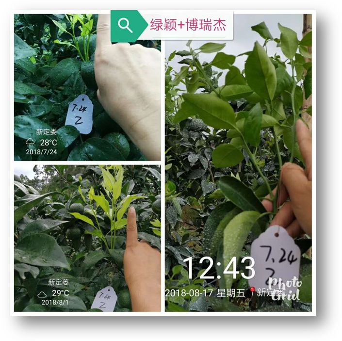 风靡市场16年,100多万橘农持续使用!这款超级大单品怎么炼成的?