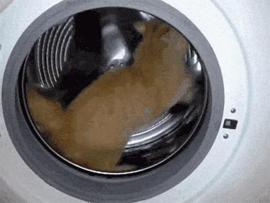 机洗*裤内**真的会得暗病？讲道理，这事还真不能怪袜子！