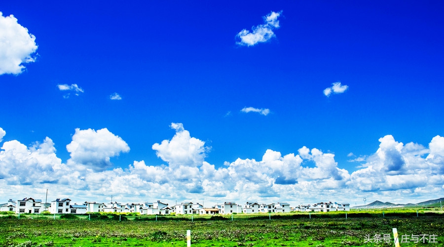 红颜蓝颜怎么相处的,红颜蓝颜是备胎吗