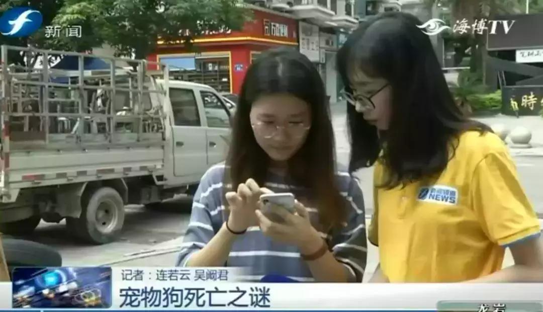 宠物店签订协议寄养死了怎么赔偿,为什么幼犬会在一夜之间莫名死亡