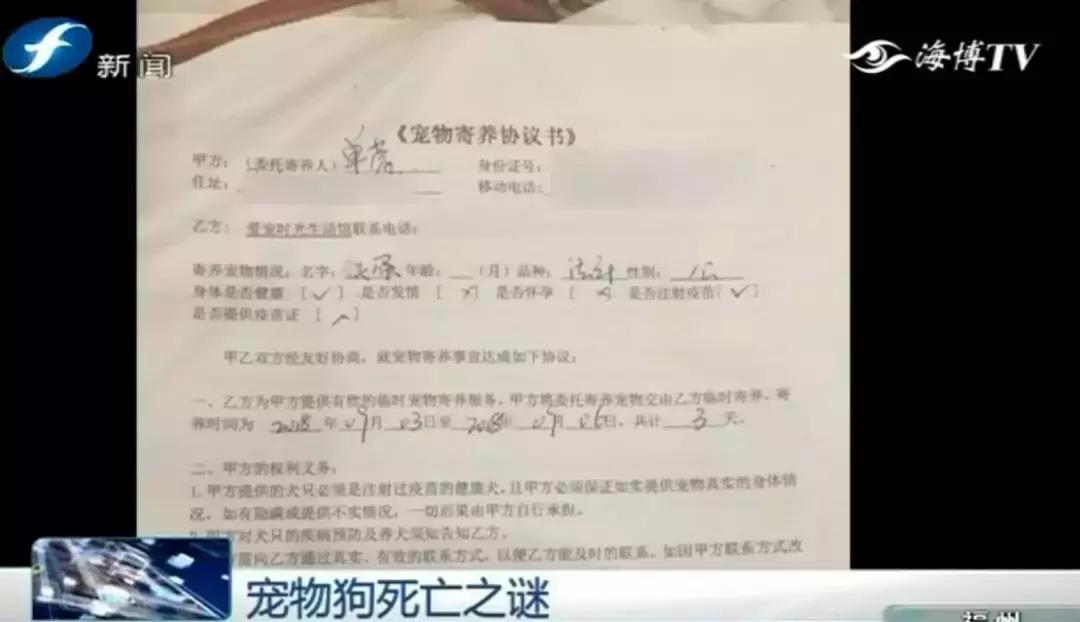 宠物店签订协议寄养死了怎么赔偿,为什么幼犬会在一夜之间莫名死亡