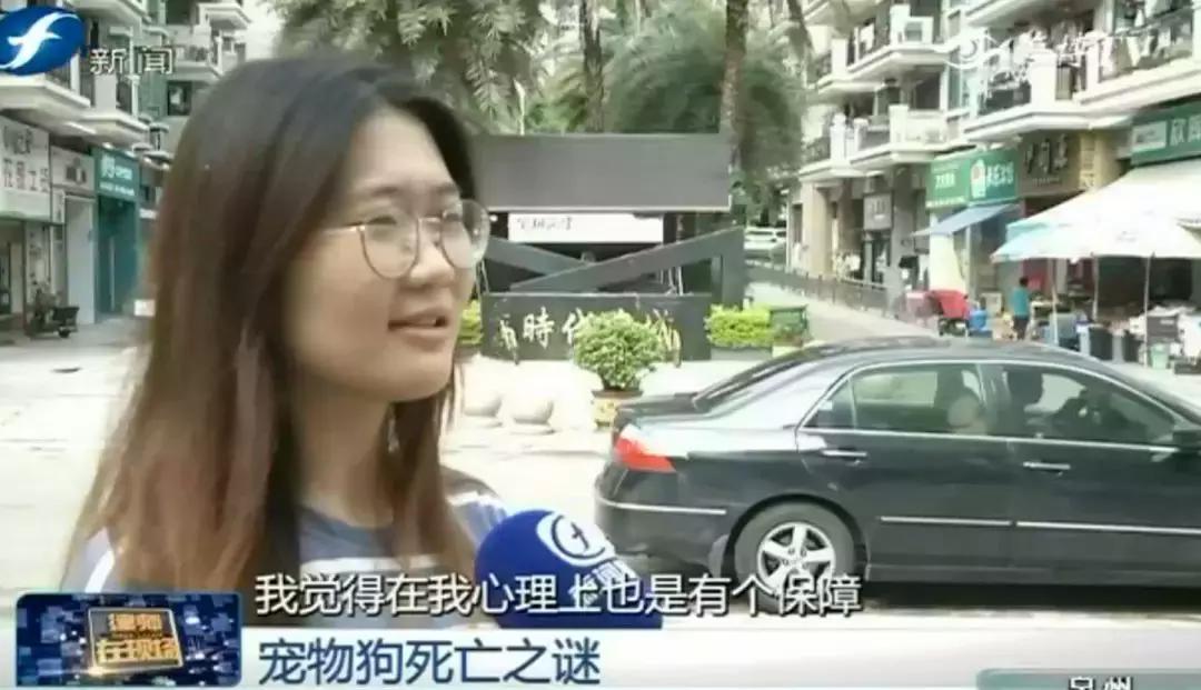 宠物店签订协议寄养死了怎么赔偿,为什么幼犬会在一夜之间莫名死亡