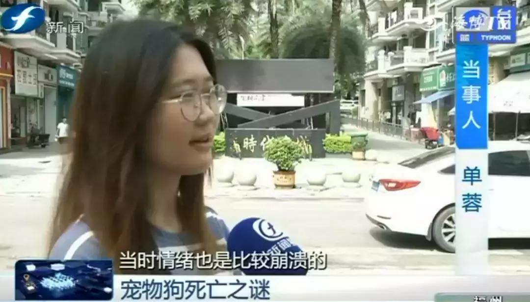 宠物店签订协议寄养死了怎么赔偿,为什么幼犬会在一夜之间莫名死亡