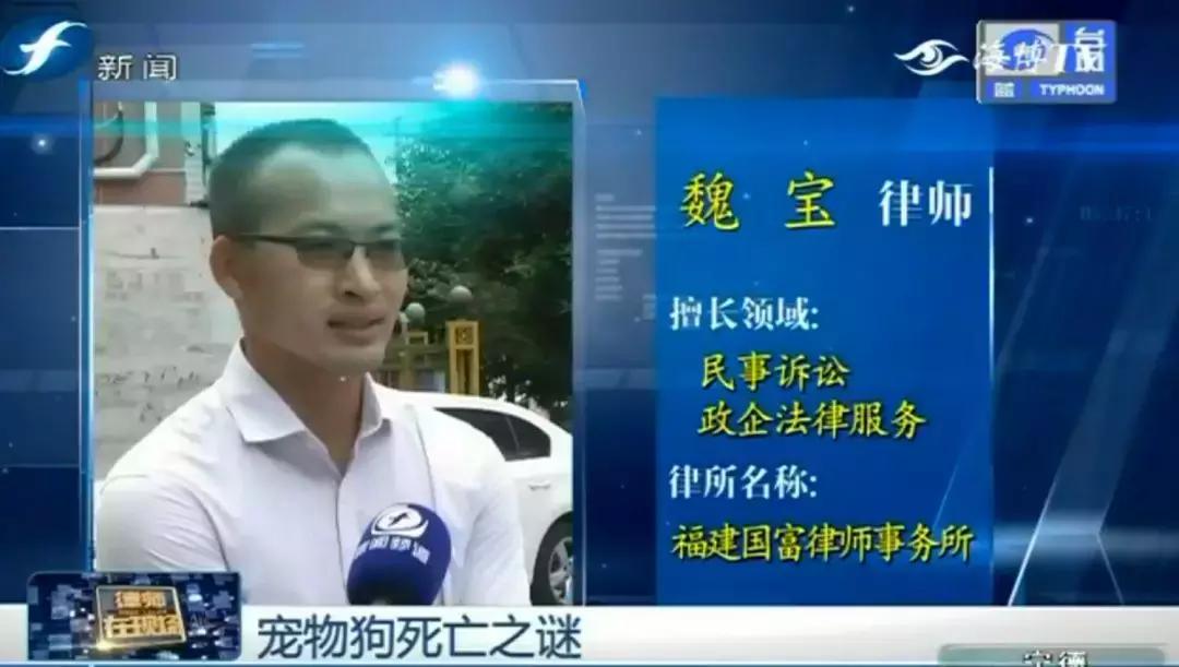 宠物店签订协议寄养死了怎么赔偿,为什么幼犬会在一夜之间莫名死亡