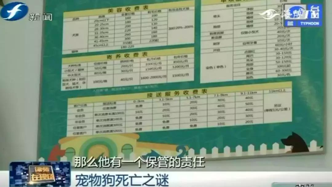 宠物店签订协议寄养死了怎么赔偿,为什么幼犬会在一夜之间莫名死亡