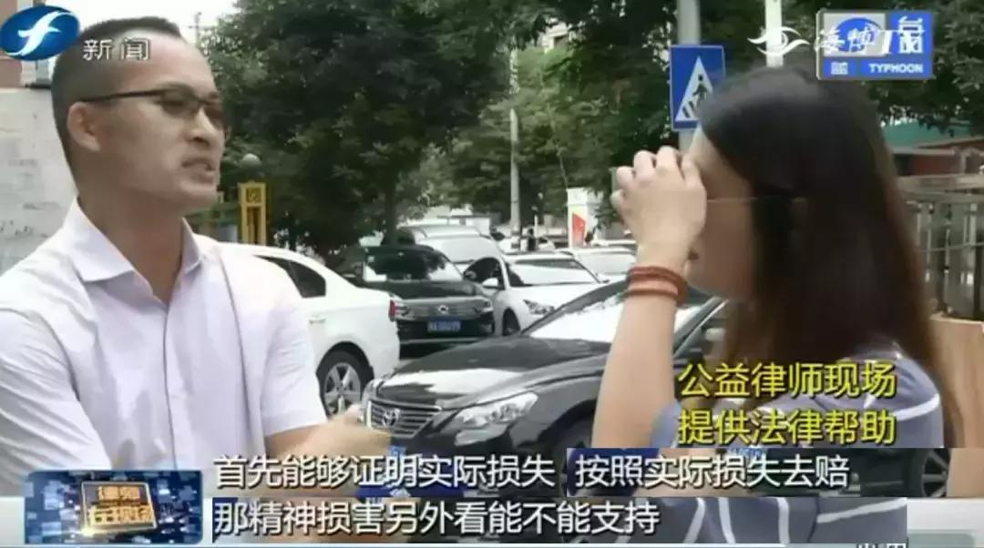 宠物店签订协议寄养死了怎么赔偿,为什么幼犬会在一夜之间莫名死亡