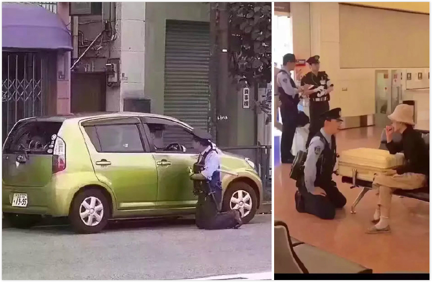 真猪皮做的软糖,每天一个冷知识吃糖