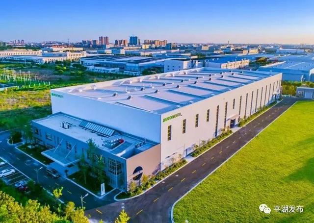 厉害了！这家全球行业百强企业把“旗舰店”开到平湖