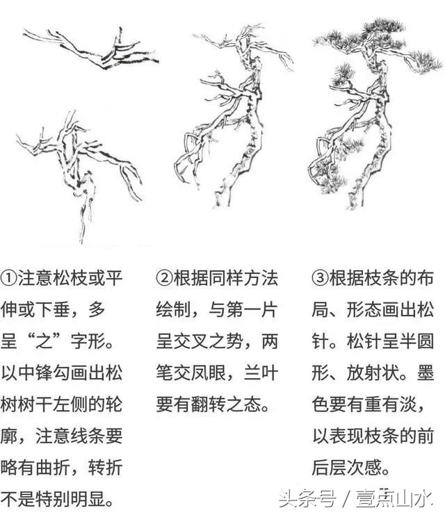 名家松树画法,习字形松树的画法
