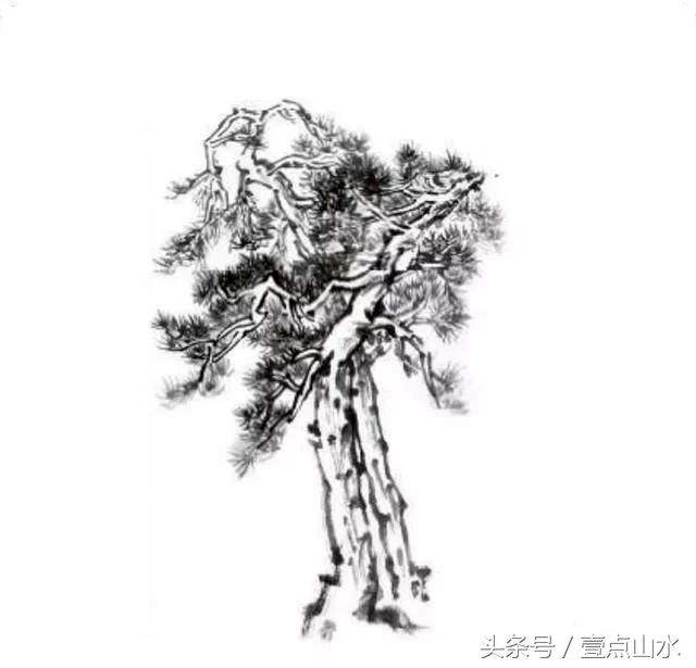 名家松树画法,习字形松树的画法