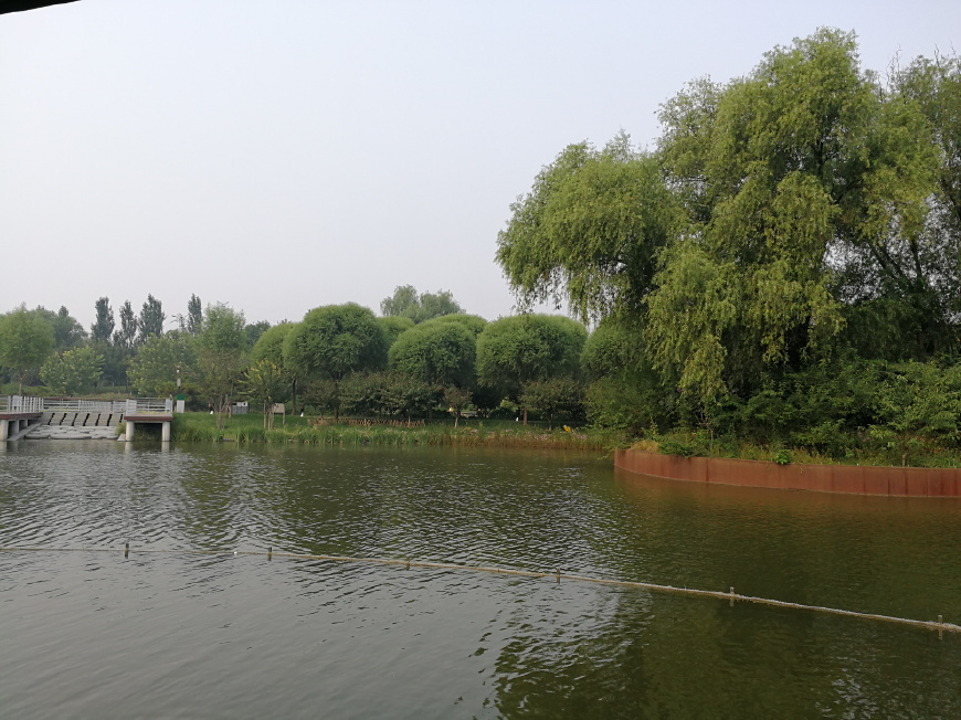 把钱存邮政储蓄银行存保险可靠吗,邮政存款变保险的钱最终会拿到吗