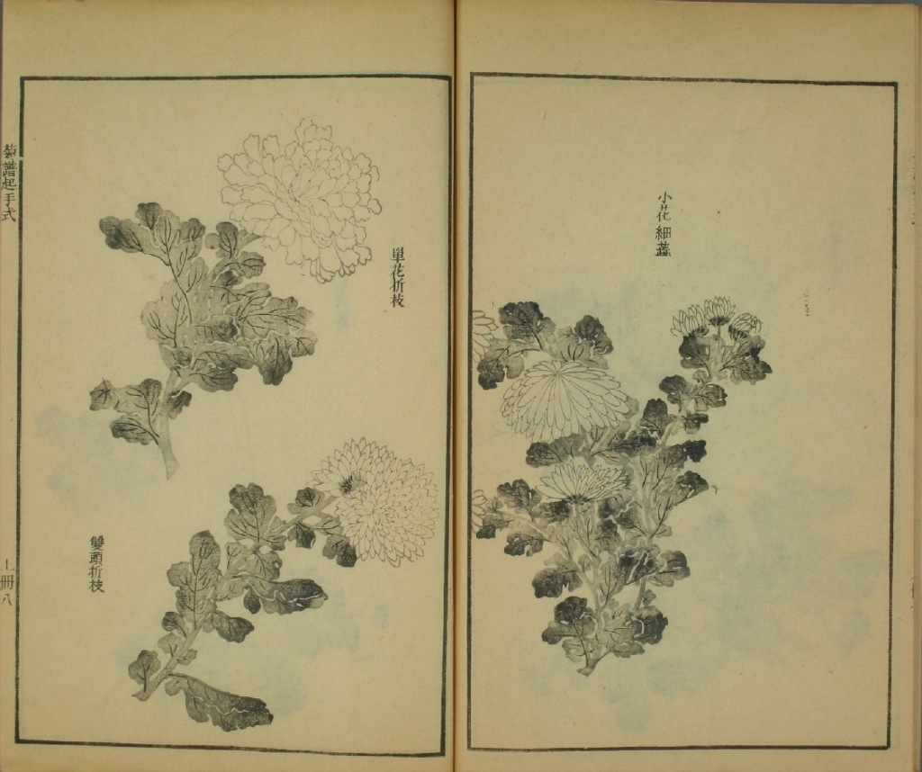 国画菊花教程零基础入门,国画菊花入门基础教程