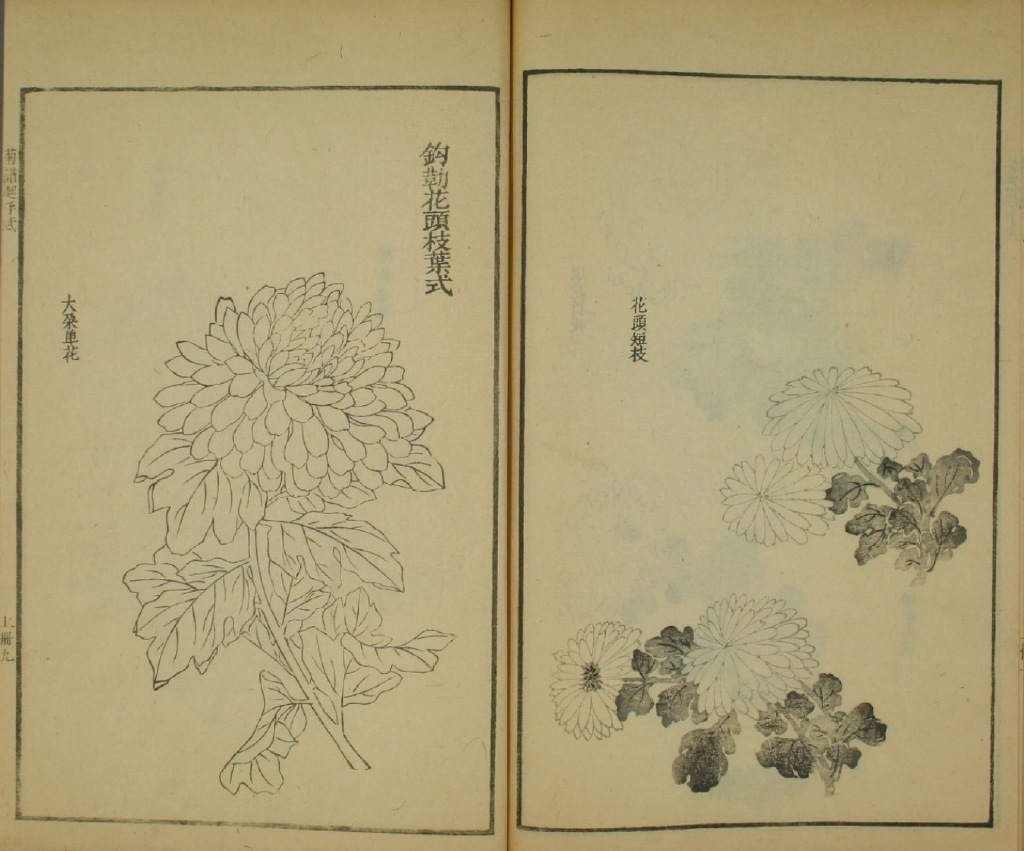 国画菊花教程零基础入门,国画菊花入门基础教程