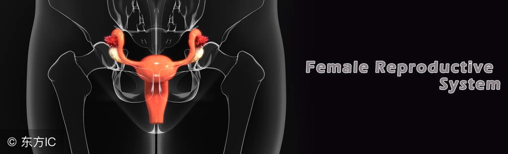 女性小腹坠胀腰骶酸但没有疼痛感,小腹隐痛腰骶酸痛尿频