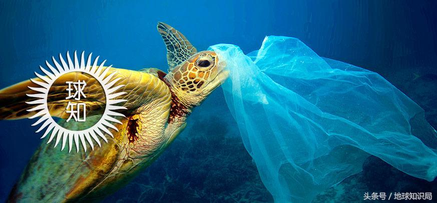 海洋微塑料进展,外媒中国世界第一