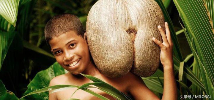 塞舌尔苏梅岛,塞舌尔印度