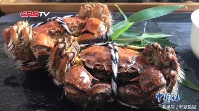 海关对出境携带金银及制品的规定,海关提醒出境游