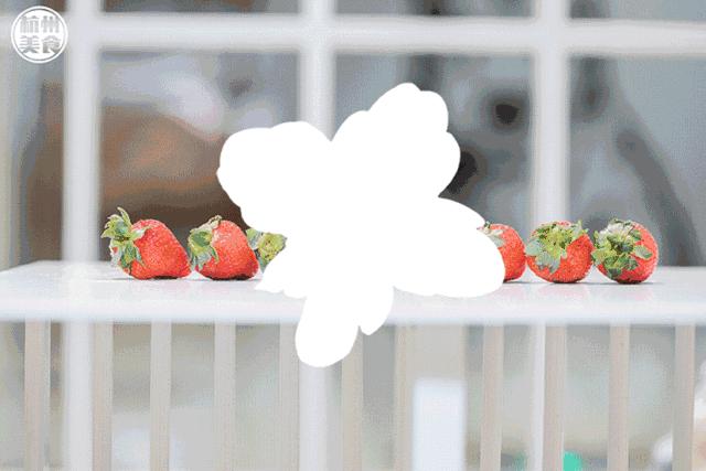 潮人大咖都pick的奈雪出冰淇淋“绿宝石”啦！想喝基本靠抢！