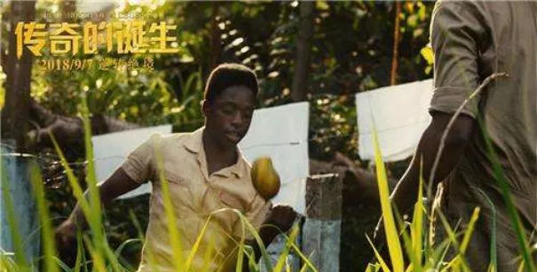 贝利天赋最强搭配,贝利励志事迹