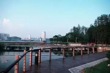 棋逢对手争高下,棋逢对手争高下视频