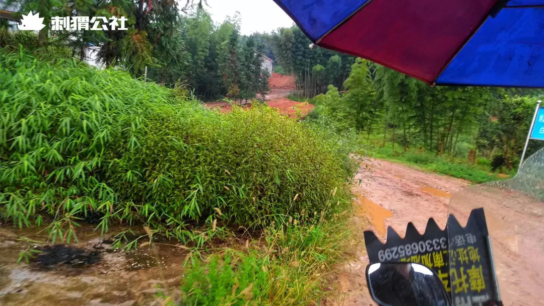 网红农村四哥一年挣多少钱,网红四哥一年赚多少钱