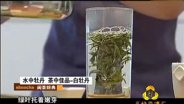 白茶是最甜的茶吗,最健康的茶叶白茶