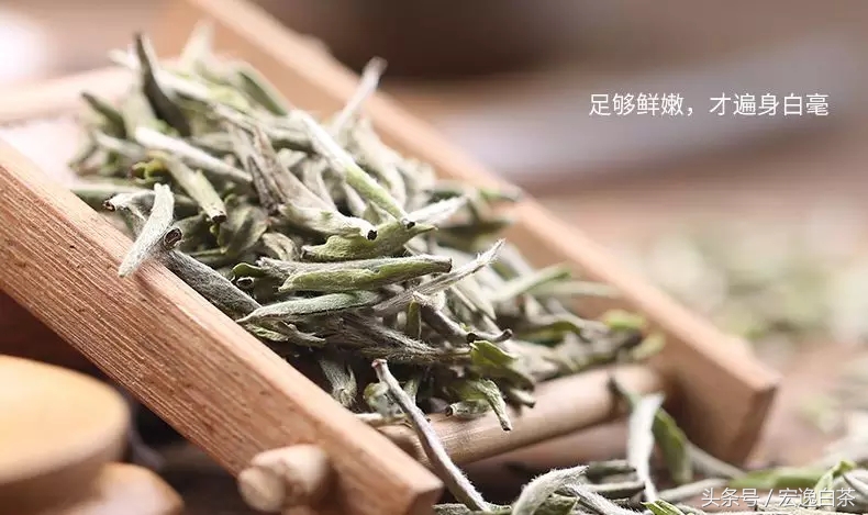 白茶是最甜的茶吗,最健康的茶叶白茶