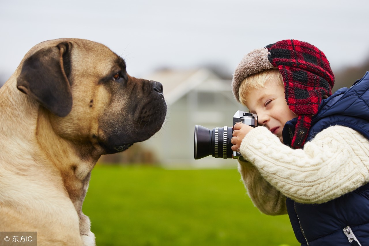 被宠物咬伤的急救方法,孩子被小狗咬伤后遗症有哪些