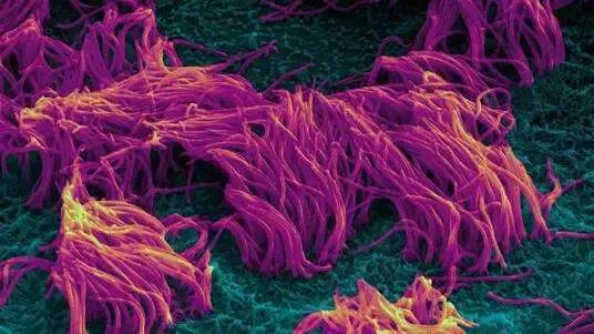 Vape能治“妻管严”?你听说过雾化治疗么?