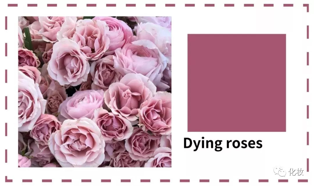 口红当下流行色号,粉红女郎口红色号万人迷