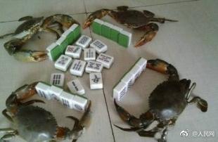 男生给爸爸做饭,最幸福的事做饭给父母吃