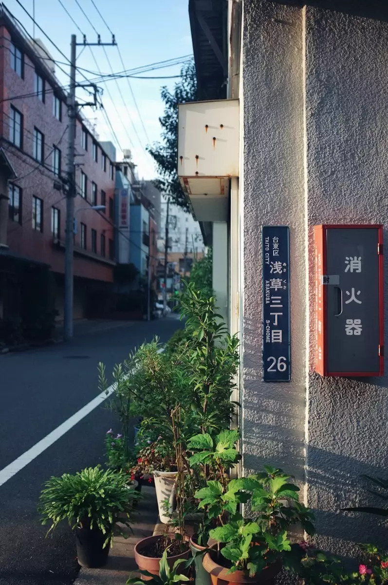 日本东京京都游记,生活在别处苏晴小说