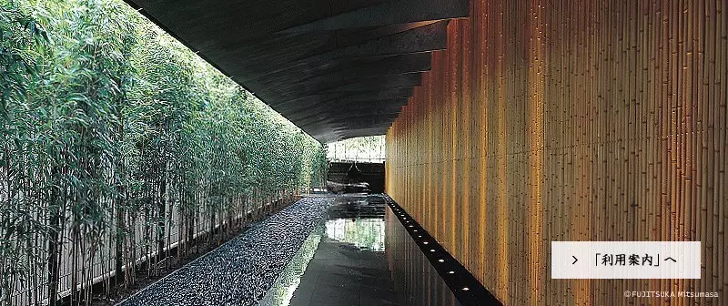 日本东京京都游记,生活在别处苏晴小说