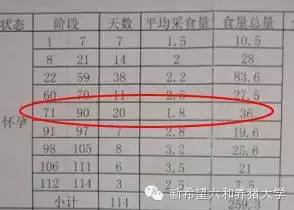 胸大经常堵奶怎么办,胸大无奶水吃什么