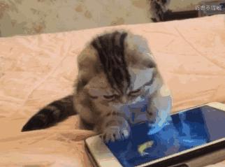 彻底卸载恶意app,app一直显示恶意代码怎么消除