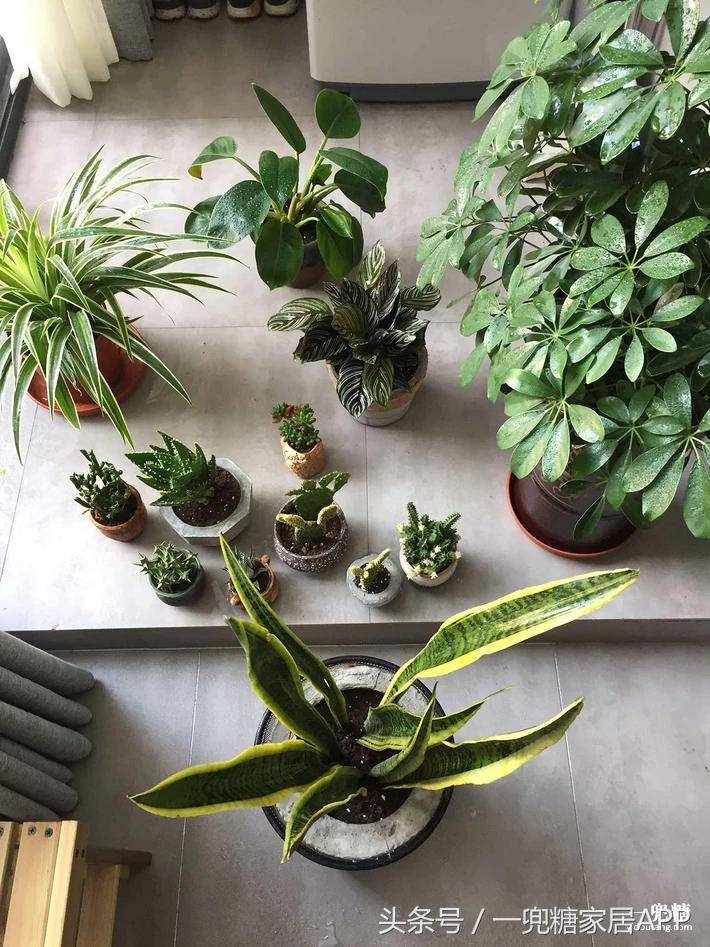 年轻人，谁不是一边感叹房子小，一边在小房子里拼命折腾？