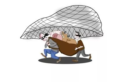 警方抓捕偷牛贼庭审现场视频,偷牛贼42次被判刑