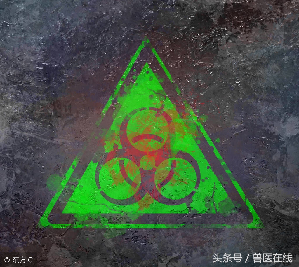 猪场最实用的养猪知识大全,猪场基本养猪知识大全