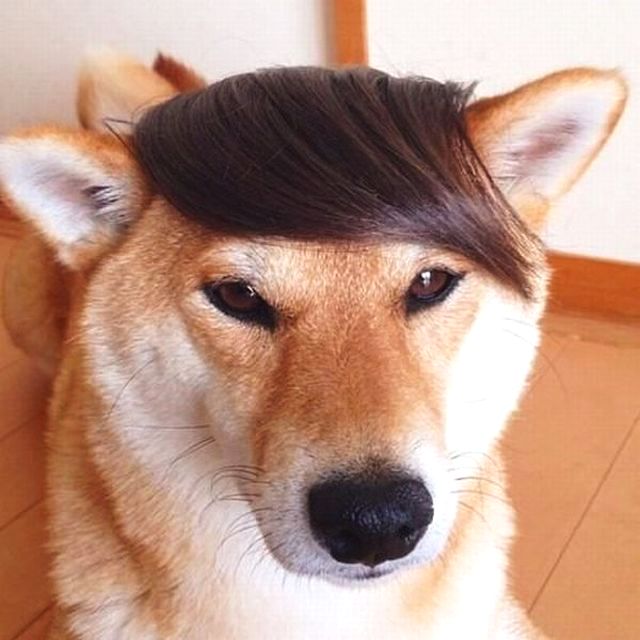 男生给爸爸做饭,最幸福的事做饭给父母吃