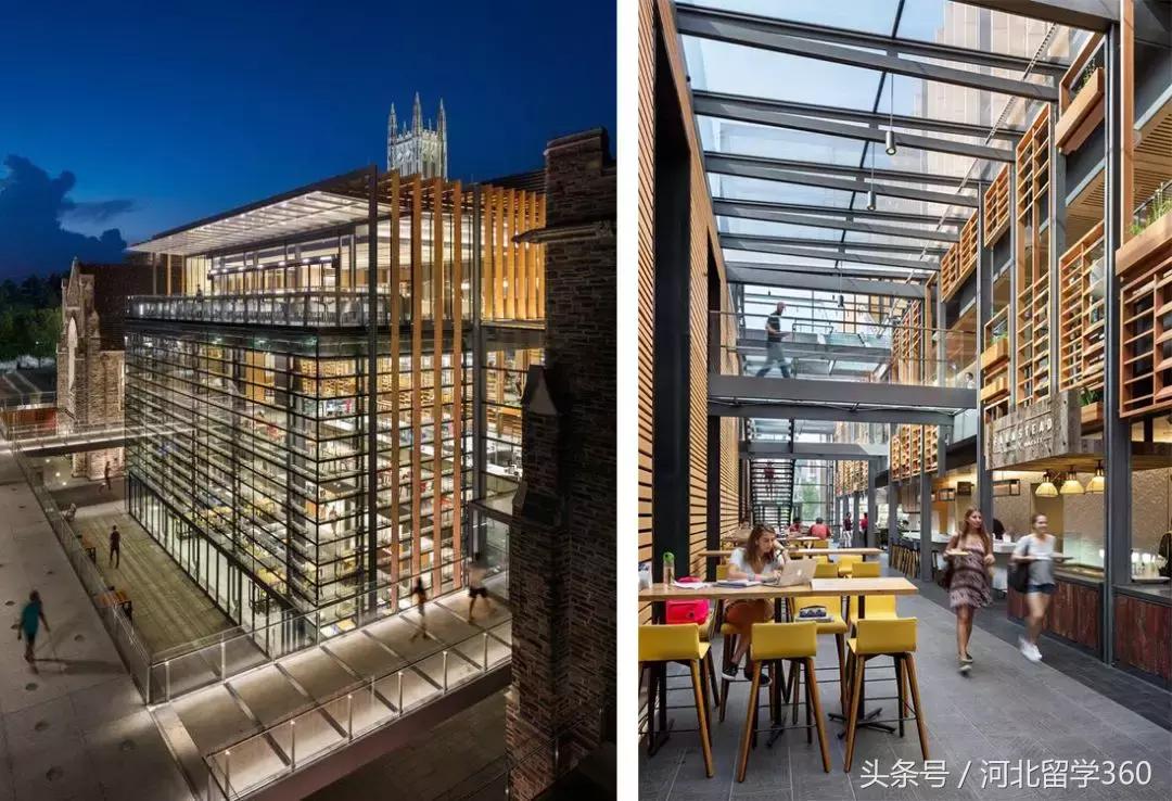 培养出苹果CEO的杜克是怎样一所大学？