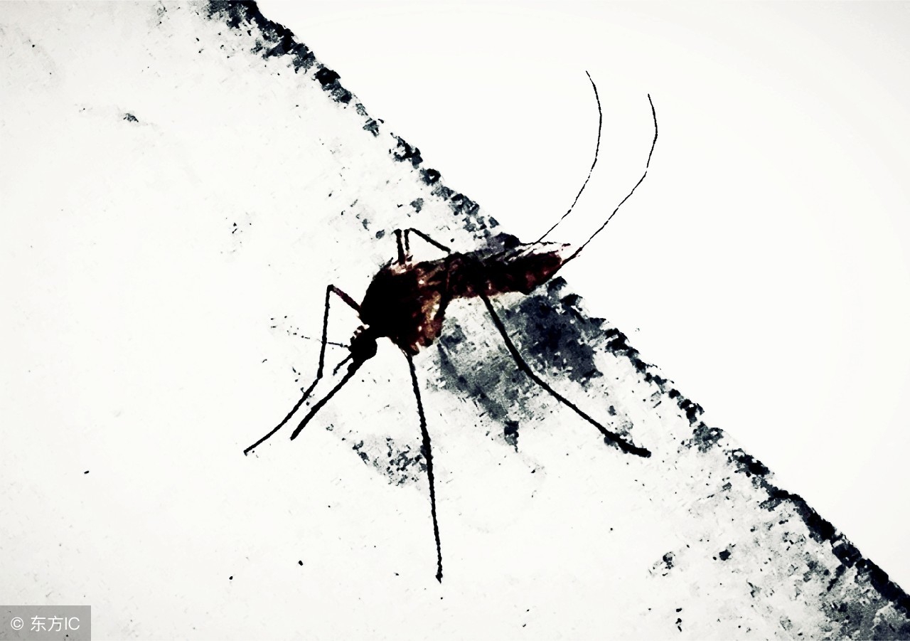 宝宝被蚊子咬了红肿厉害怎么办,蚊子咬了红肿痒擦什么药膏好得快