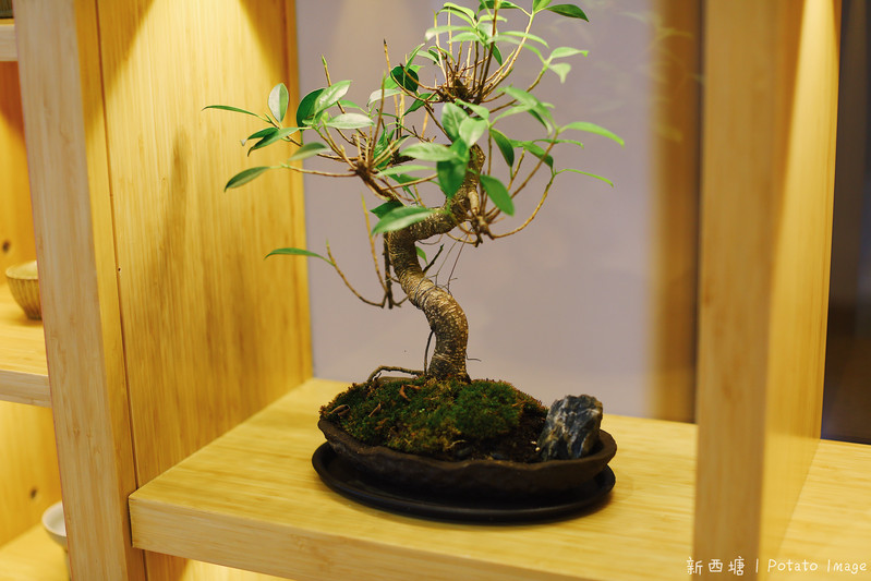 杭州两天一夜旅游西塘攻略,周庄同里乌镇西塘小桥流水