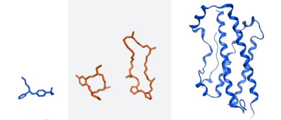 多肽类药物的研究发展,多肽药物的发展前景