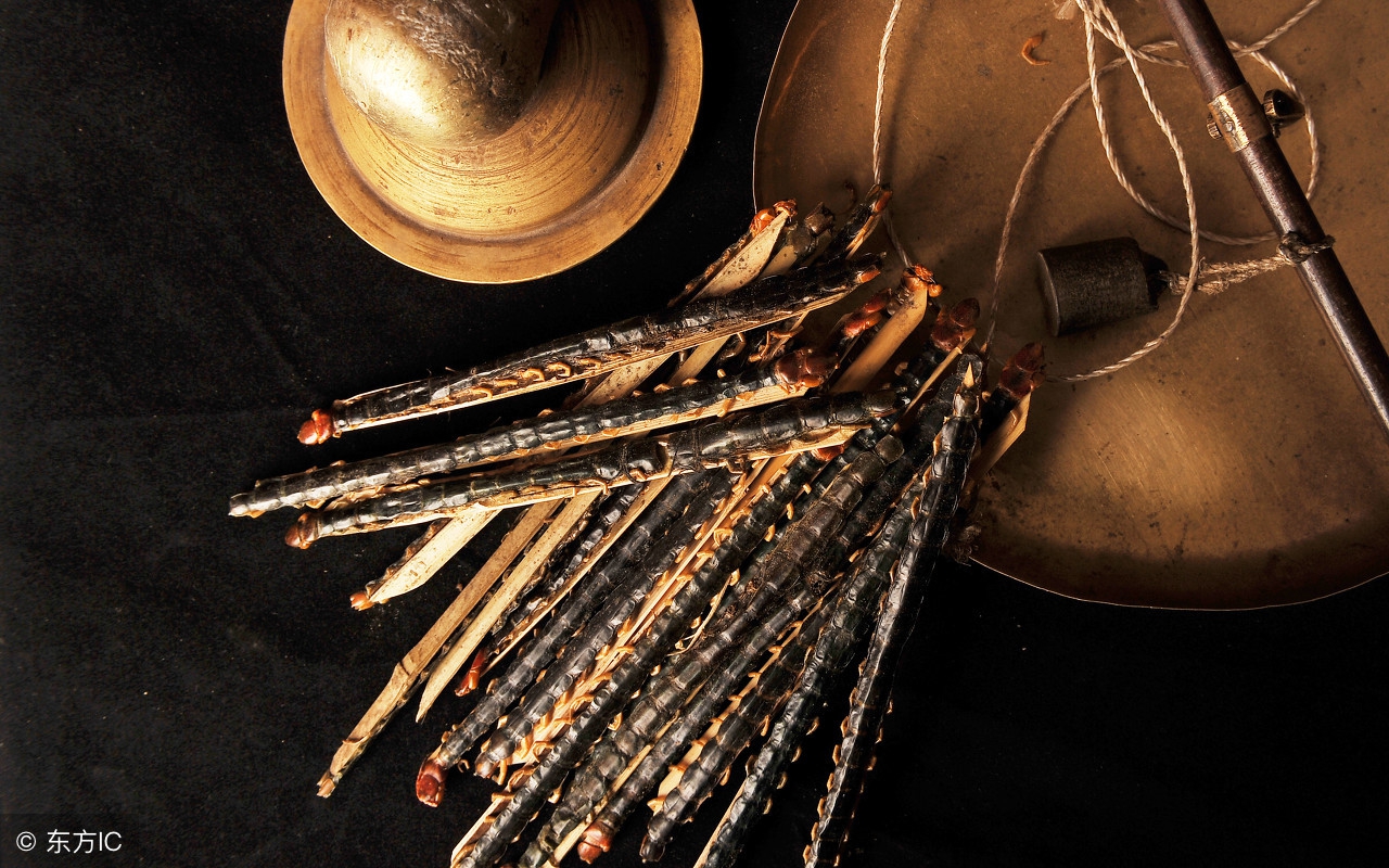 全蝎相克的十种药,中医全蝎蜈蚣的功效与作用