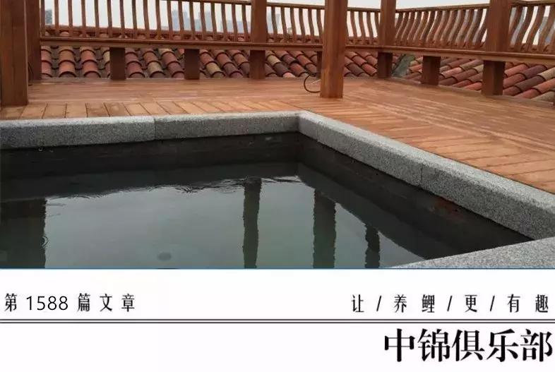 屋顶鱼池怎么建造,屋顶鱼池的建造方法