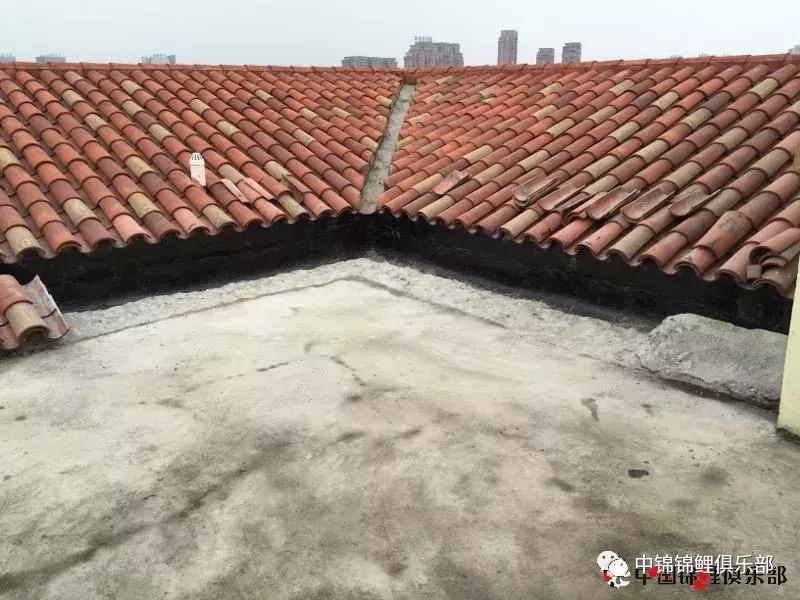 屋顶鱼池怎么建造,屋顶鱼池的建造方法