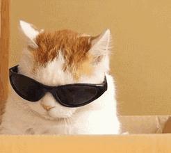 推荐好用的啫喱面霜,测评十大面霜